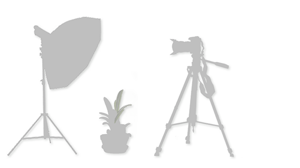 Fotografie/Bildbearbeitung